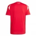 Maillot de Foot Euro 2024 Hongrie Tenue Domicile