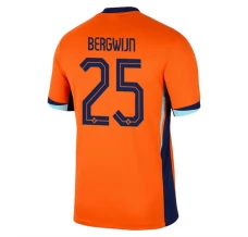 Maillot de Foot Euro 2024 Pays-Bas Bergwijn 25 Tenue Domicile