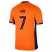 Maillot de Foot Euro 2024 Pays-Bas Xavi 7 Tenue Domicile Maillot de Foot Euro 2024 Pays-Bas Xavi 7 Tenue Domicile