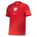 Maillot de Foot Euro 2024 Pologne Tenue Extérieur