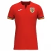 Maillot de Foot Euro 2024 Roumanie Tenue Extérieur