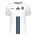 Maillot de Foot Euro 2024 Slovénie Tenue Domicile