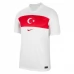 Maillot de Foot Euro 2024 Turquie Tenue Domicile