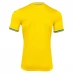 Maillot de Foot Euro 2024 Ukraine Tenue Domicile