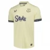 Maillot de Foot Everton FC Tenue Extérieur 2025/26 Maillot de Foot Everton FC Tenue Extérieur 2025/26