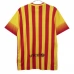 Maillot de Foot FC Barcelone Tenue Extérieur Retro 2013-14