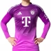 Maillot de Foot FC Bayern Munich Neuer 1 Gardien Tenue Domicile Purple 2025/26 Manche Longue Maillot de Foot FC Bayern Munich Neuer 1 Gardien Tenue Domicile Purple 2025/26 Manche Longue