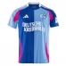 Maillot de Foot FC Schalke 04 Gardien Tenue Domicile 2024/25