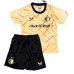 Maillot de Foot Feyenoord Rotterdam Enfant Tenue Domicile Fourth 2024/25