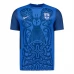 Maillot de Foot Finlande Tenue Extérieur 2025