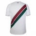 Maillot de Foot Fluminense Tenue Extérieur 2024/25
