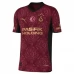 Maillot de Foot Galatasaray SK Sané 10 Tenue Third 2025/26