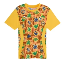 Maillot de Foot Ghana Tenue Domicile Pre-Match 2025