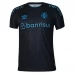 Maillot de Foot Gremio FBPA Tenue Third 2023/24