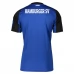 Maillot de Foot Hamburger SV Tenue Extérieur 2025/26