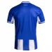 Maillot de Foot Honduras Tenue Third 2025
