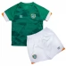 Maillot de Foot Irlande Enfant Tenue Domicile 2022