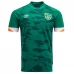 Maillot de Foot Irlande Tenue Domicile 2022