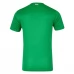 Maillot de Foot Irlande Tenue Domicile 2024