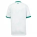 Maillot de Foot Irlande Tenue Extérieur 2025/26