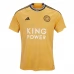 Maillot de Foot Leicester City Tenue Third 2023/24