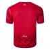 Maillot de Foot LOSC Lille Tenue Domicile 2025/26