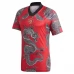 Maillot de Foot Manchester United Tenue Domicile Dragon 2023/24