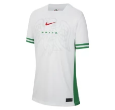 Maillot de Foot Nigeria Tenue Domicile 2024