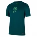Maillot de Foot Nigeria Tenue Domicile 2025/26