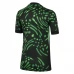 Maillot de Foot Nigeria Tenue Extérieur 2024