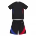 Maillot de Foot Olympique Lyonnais Enfant Tenue Extérieur 2024/25