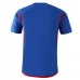 Maillot de Foot Olympique Lyonnais Tenue Extérieur 2023/24