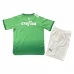 Maillot de Foot Palmeiras Enfant Tenue Domicile Special Edition Green 2024/25
