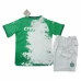 Maillot de Foot Palmeiras Enfant Tenue Domicile Special Edition White 2024/25