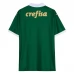 Maillot de Foot Palmeiras Tenue Domicile 2024/25