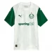 Maillot de Foot Palmeiras Tenue Extérieur 2025/26 Maillot de Foot Palmeiras Tenue Extérieur 2025/26