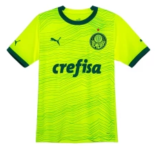 Maillot de Foot Palmeiras Tenue Third 2023/24