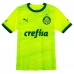 Maillot de Foot Palmeiras Tenue Third 2023/24