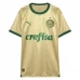 Maillot de Foot Palmeiras Tenue Third 2024/25