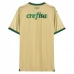 Maillot de Foot Palmeiras Tenue Third 2024/25
