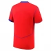 Maillot de Foot Paris Saint Germain Tenue Third 2025/26