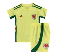 Maillot de Foot Pays de Galles Enfant Tenue Extérieur 2024