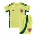 Maillot de Foot Pays de Galles Enfant Tenue Extérieur 2024