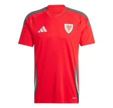 Maillot de Foot Pays de Galles Tenue Domicile 2024