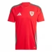 Maillot de Foot Pays de Galles Tenue Domicile 2024