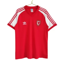 Maillot de Foot Pays de Galles Tenue Domicile Retro 1982