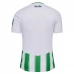 Maillot de Foot Real Betis Tenue Domicile 2023/24