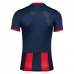 Maillot de Foot San Lorenzo Tenue Domicile 2024/25