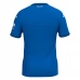 Maillot de Foot TSG 1899 Hoffenheim Tenue Domicile 2024/25