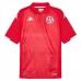 Maillot de Foot Tunisie Tenue Domicile 2024 Maillot de Foot Tunisie Tenue Domicile 2024